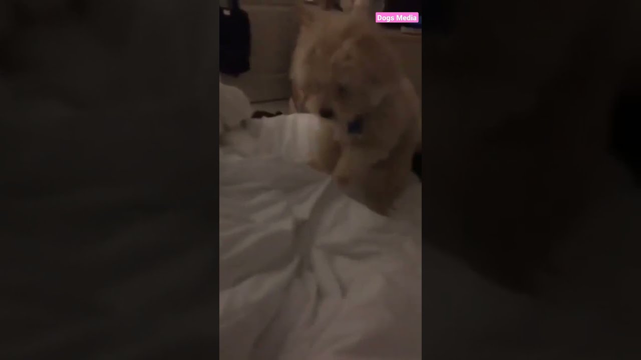 The way he sits down 🤣 @kylenicholsonnn-