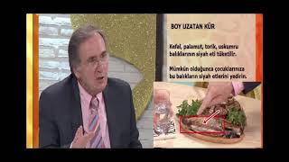 saracoglu boy uzatma kuru balik ise yariyor mu boy uzatan kur youtube