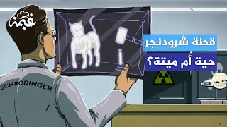 قطة شرودنجر.. قصة حيوان ميكانيكا الكم الأليف