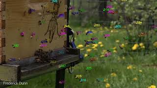 Plan Bee - Tracking Bees #1