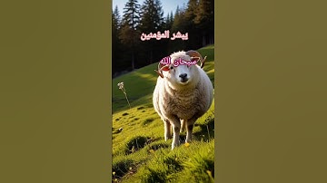 لا تنسى اقرا سوره الكهف #يوم #قرآن #الجمعة