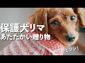 世界に一つだけの贈り物ありがとうございます。温かいです。【Day42】