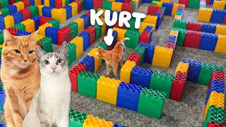 I Built My Cats A Crazy Lego Maze
