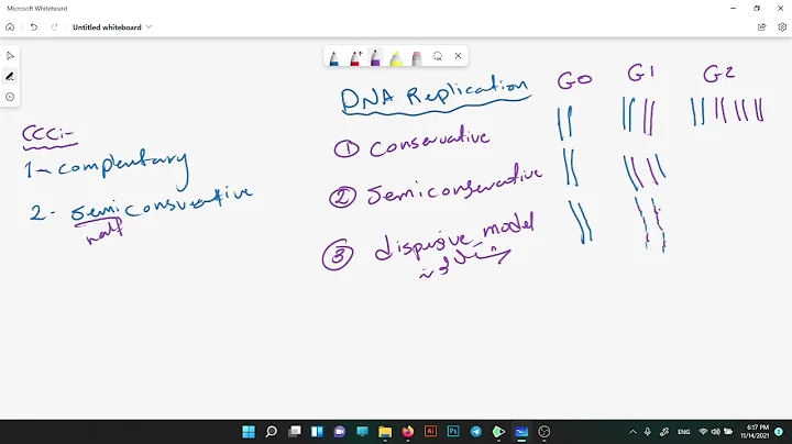 Lecture 5 Genetics By Qutaibah Essam