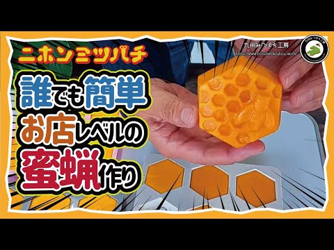 蜜蝋 ニホンミツバチ　巣クズ　4930g 蜜蝋 ニホンミツバチ 巣クズ 4930g 捨てないで！【ミツバチが