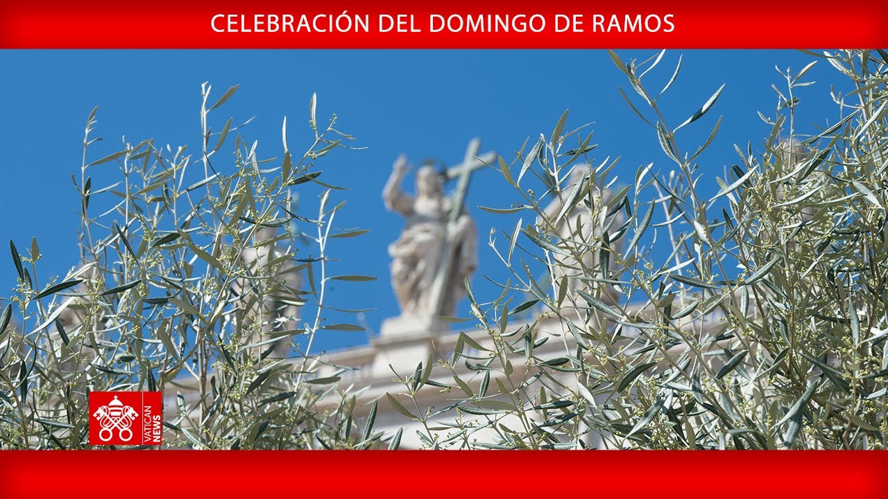 13 de abril de 2025, Celebración del Domingo de Ramos | cardenal Leonardo Sandri