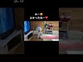 【映画大好き犬のレン】シンデレラ編#犬のいる暮らし #大型犬#ディズニー #シンデレラ