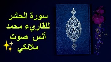 سورة الحشر ، تلاوة تريح النفوس والعقول ،تلاوة فيها راحة نفس ، للقارئ أنس محمد saurat alhachr☘️