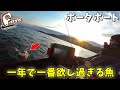 嫁さんと1年で一番欲し過ぎる魚を狙いに行ってきました