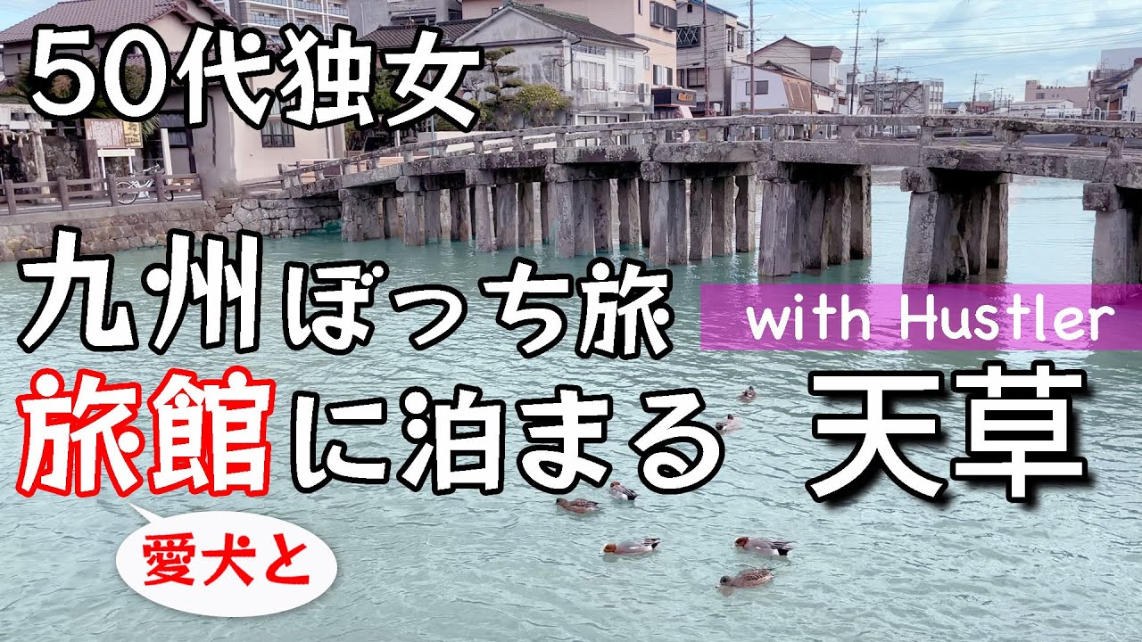 【九州ひとり旅】愛犬と天草の旅館に宿泊 ｜そして、九州旅中断の時