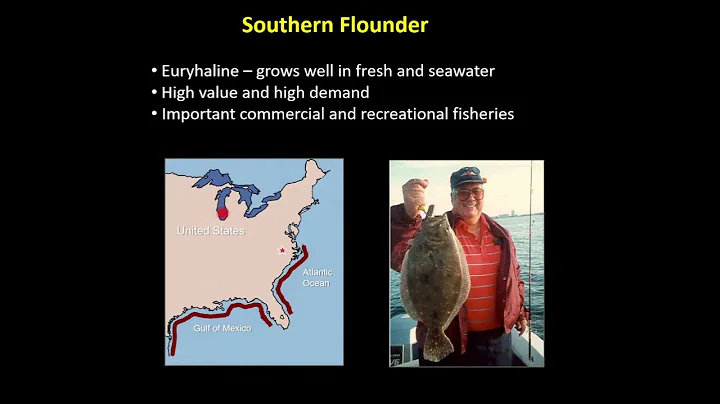 Floundering Around - Evaluating a Declining Species in the SE United States - Session 2