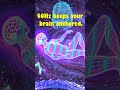 What happens when you work in silence vs 40Hz