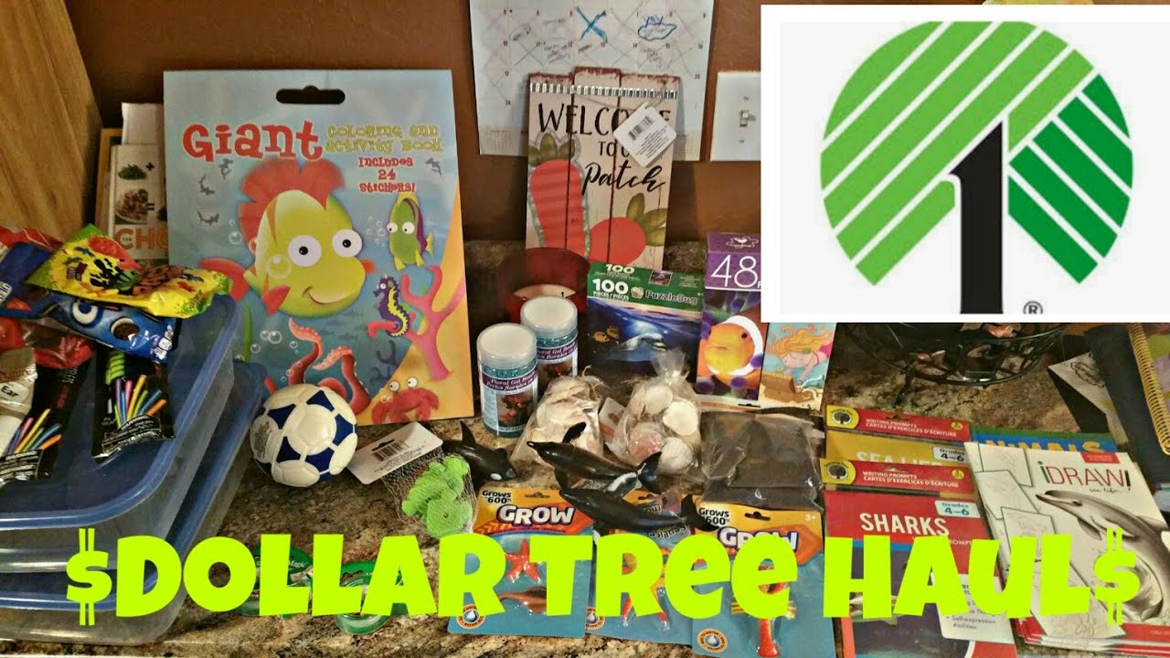 Dollar Tree Haul { homeschool haul }