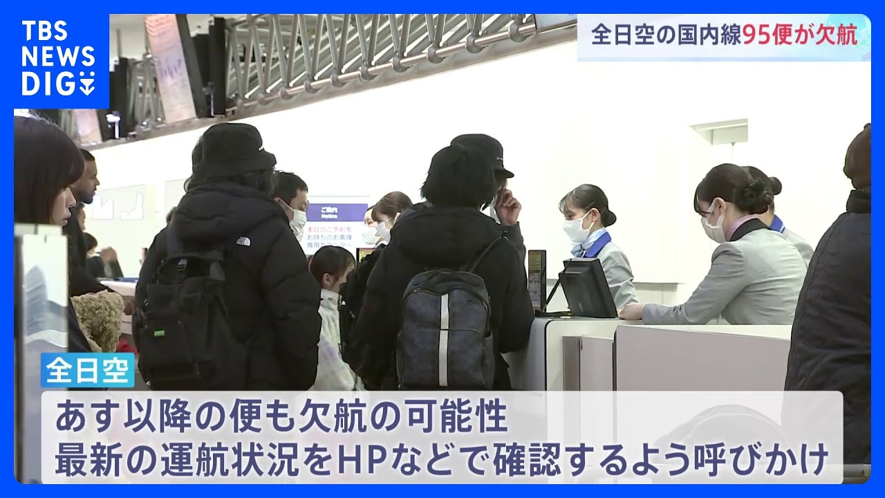 ana 国内線 運航 状況