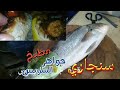 سمكة لوت سنجاري بالجمبري والخلطة وشاهد لحم السمكة بعد الطهي جربها هتعجبك