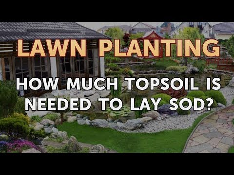 How Much Topsoil is Needed for Sod: Essential Guide