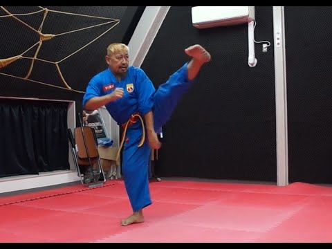 ベトナム総合武術 ボビナム Vovinam PART4