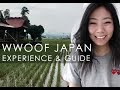 WWOOF Japan Experience + Tips