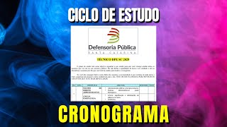 CRONOGRAMA TÉCNICO DPE SC 2025 PDF