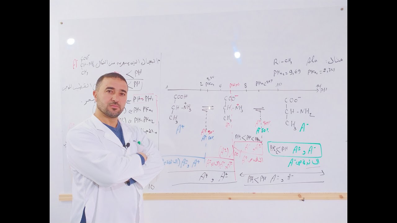 مجالات الهجرة للاحماض الامينية وهجرتها