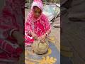 Transforming Coconut Sticks into Stunning Fruit Baskets #shorts