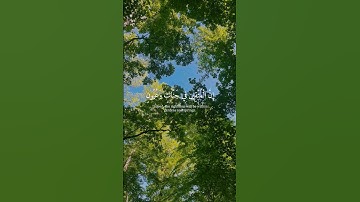 إِنَّ الْمتَّقين فِي جَنَّات وَعيُون | سورة الحجر الآية 45-48 | القارئ هزاع البلوشي 🤍