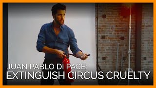 Juan Pablo Di Pace: Extinguish Circus Cruelty