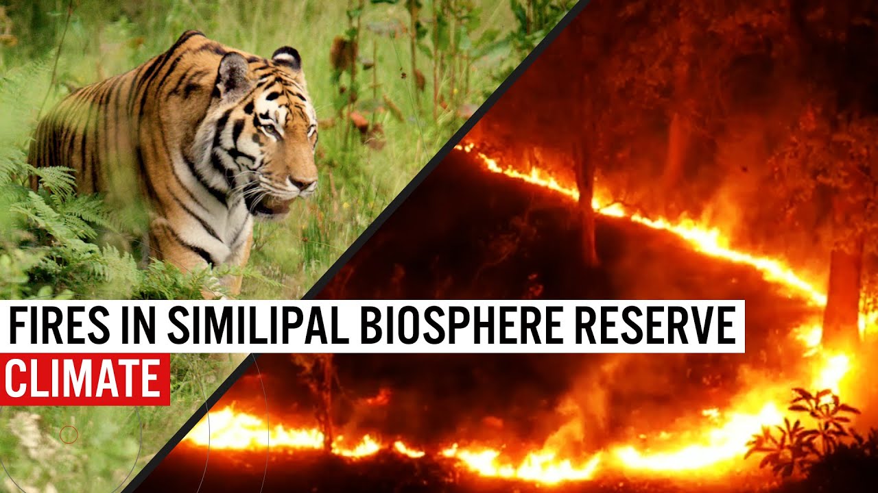 Fires rage in the Similipal biosphere reserve in India - "Climate change has a role to play in this"