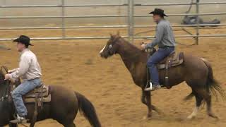 Team Penning - 10HC Set 6 - 2019 USTPA Panhandle Pen & Sort