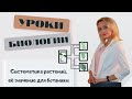 Систематика растений, её значение для ботаники