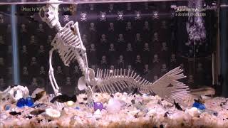 Spooky Halloween Mermaid Garden - My Boyfriend the Pilot session Aquarium In Action! dark ambient screenshot 5