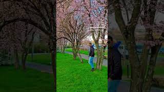 #bollywood #luxembourg #europeantravel #beautiofnature