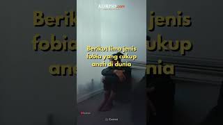 5 Fobia Paling Aneh di Dunia, Ada Rasa Takut terhadap Toilet