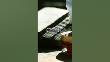 My tips to learn Italian consistency, practice, and Airlearn to guide the way!