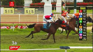 Vidéo de la course PMU IL REY IVAN H.