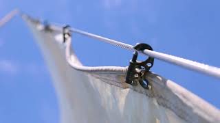 Unlock Downwind Speed: Whisker Pole 101 #boat #sailing #shorts