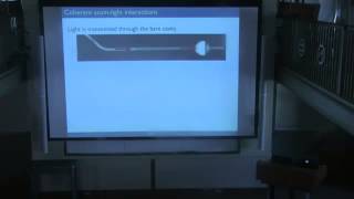 Jeff Thompson, “Nanoscale quantum systems with single atoms and photons”
