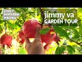 Jimmy va garden tour exotic fruits trees zone 7 northern virginia springfield grow pomegranate