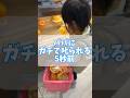 【1歳10ヶ月】買い物あるある👧🏻