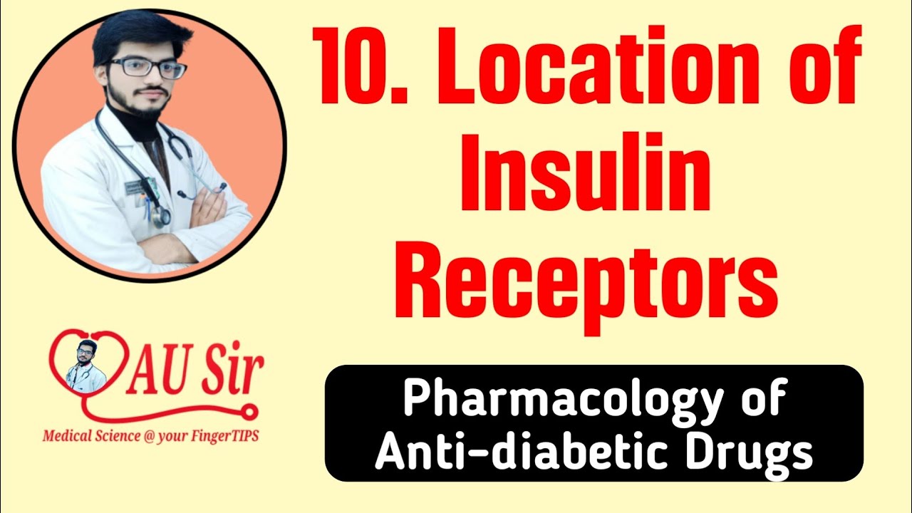 Location of Insulin Receptors in the body | Antidiabetic Drugs | Endocrine Pharmacology | AU Sir