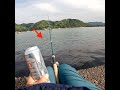 ビール飲んだ瞬間ウキが消えた
