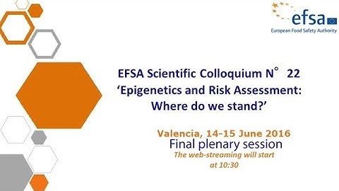 Epigenetics and risk assessment: EFSA’s scientific colloquium charts way ahead - Final Plenary