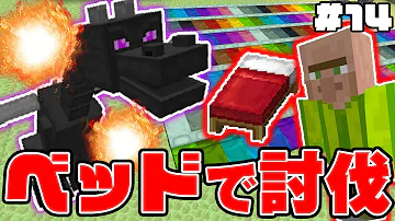 マイクラ村人がエンドラ討伐