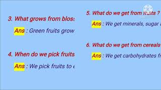 Class 3 English  In The Orchard  Page No   16