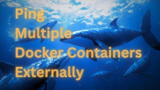 Docker Networking: Pinging Multiple Containers Externally #docker
