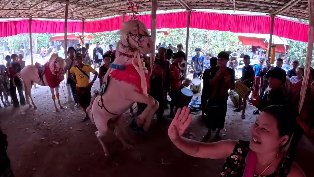 မြင်းအက