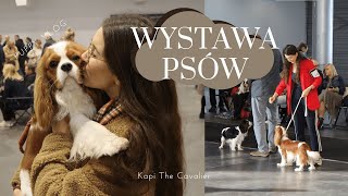 NASZA PIERWSZA WYSTAWA PSÓW RASOWYCH!