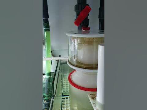 пенник - YouTube