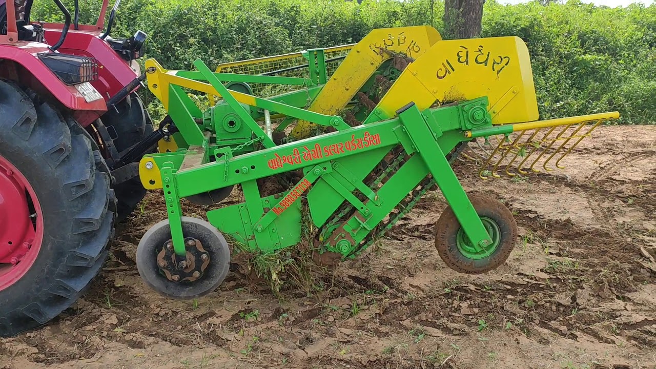 Groundnut harvesting