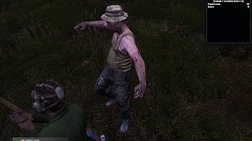 DayZ Standalone 0.63 Currency Debug monitor